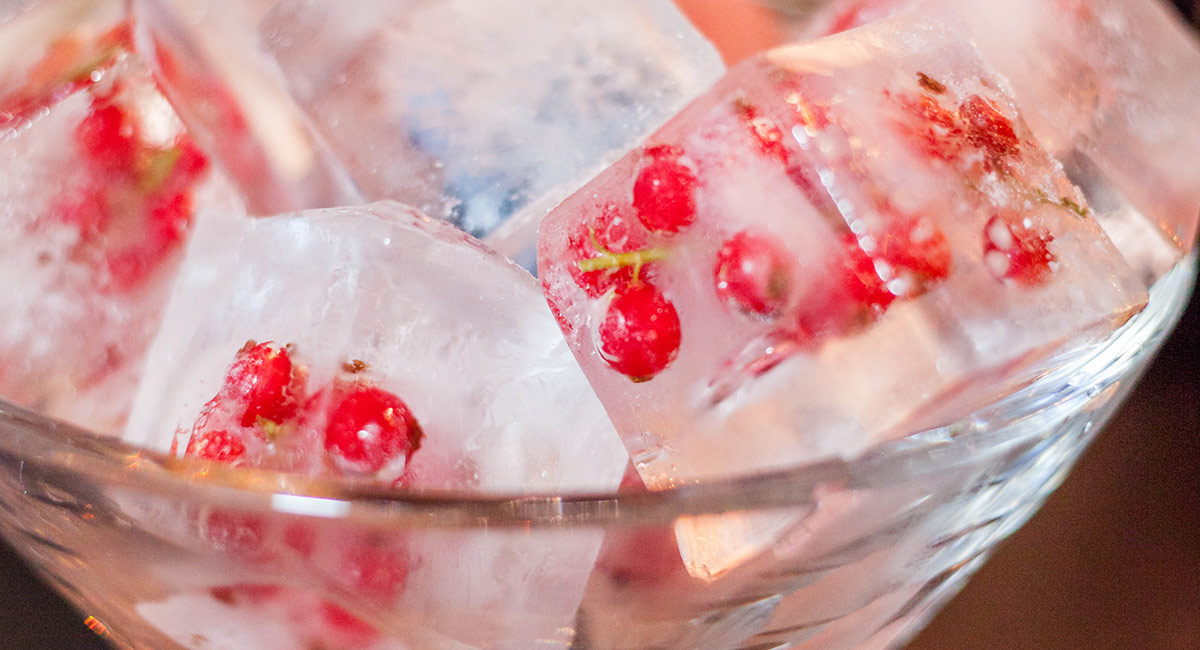 Botanical Infused Ice Cubes, By Drinksfusion.com